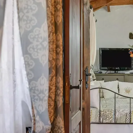 Casa Olympia, Tamaimo