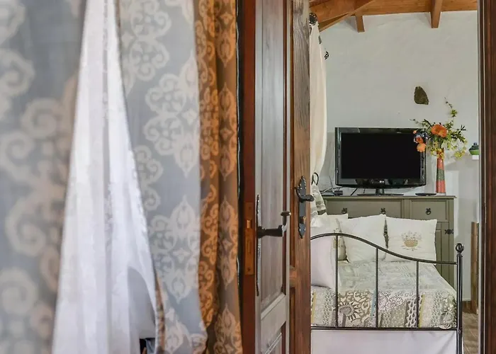 Casa Olympia, Tamaimo